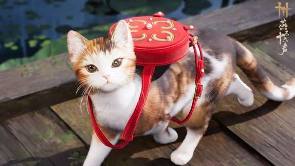 http://seogc.fp.ps.netease.com/file/6aade6a24fd9adac04b95bebIghkceHN07