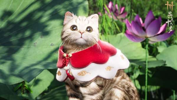 http://seogc.fp.ps.netease.com/file/6aade6a9259f1de9394792ccRQZHG1f907