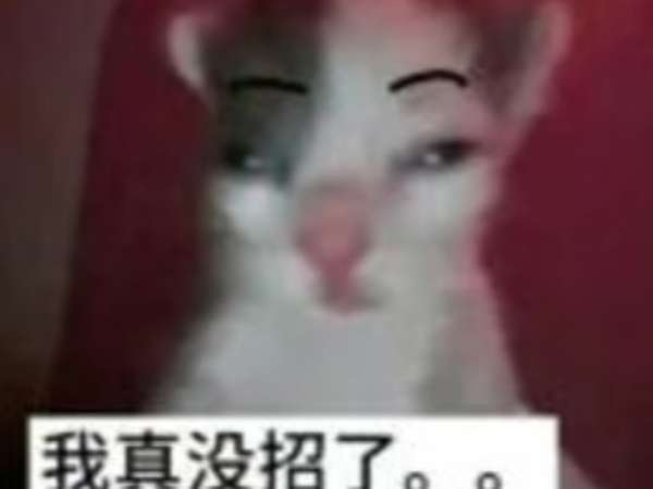 http://seogc.fp.ps.netease.com/file/6ab0c54b5bd9da18b9012681mRjJW4H007