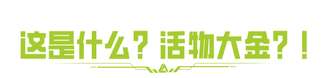 萤火突击落日山脉国庆热门景点攻略