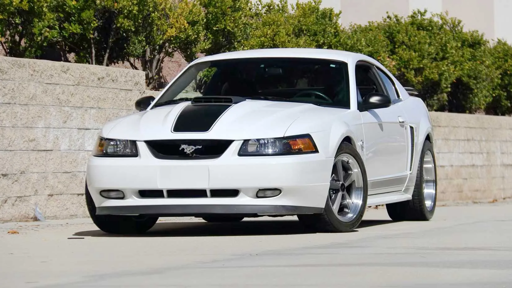 SN95 Mach 1 with a Shaker scoop that could inhale small birds