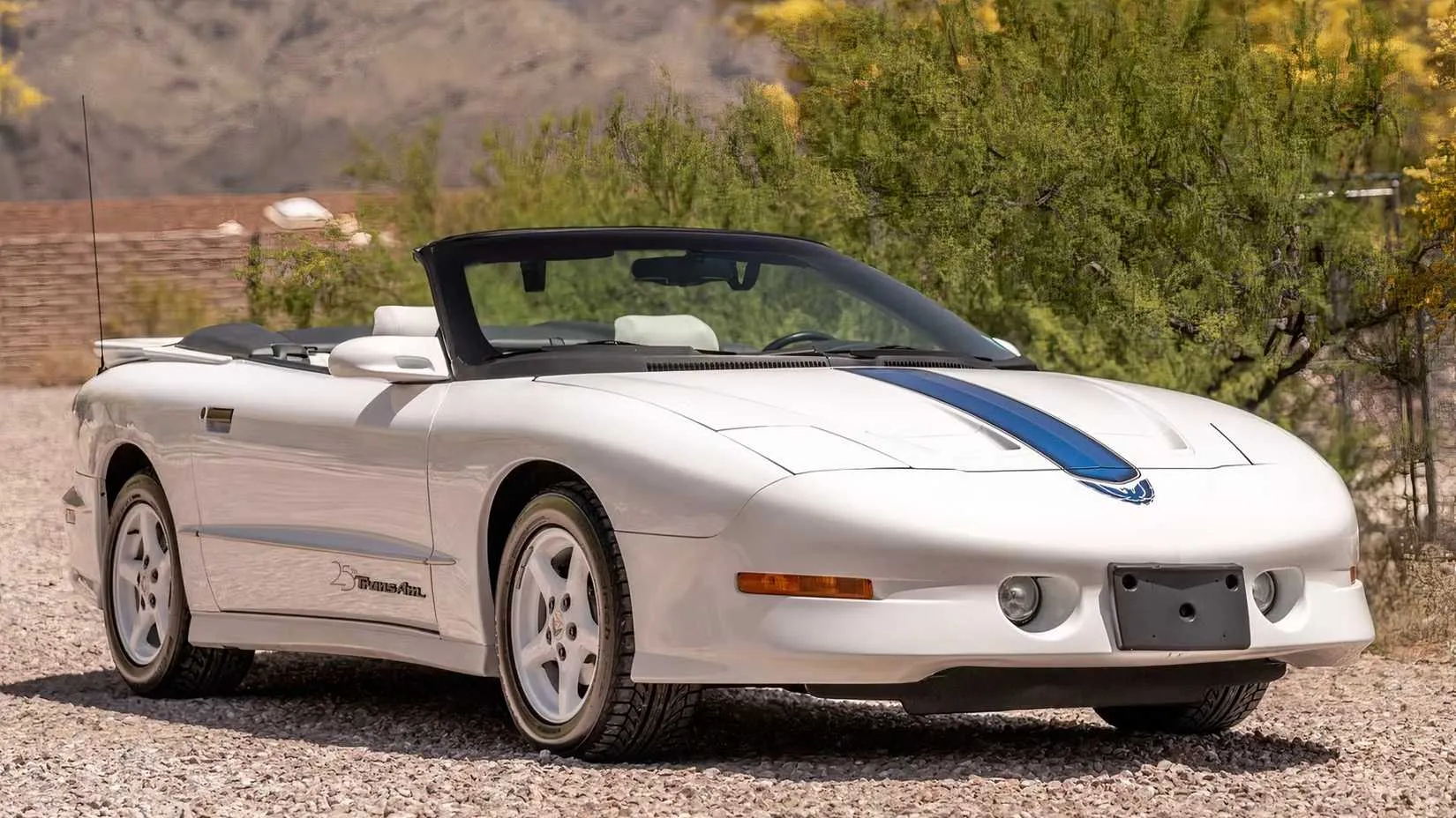 1994 Pontiac Firebird Trans AM GT