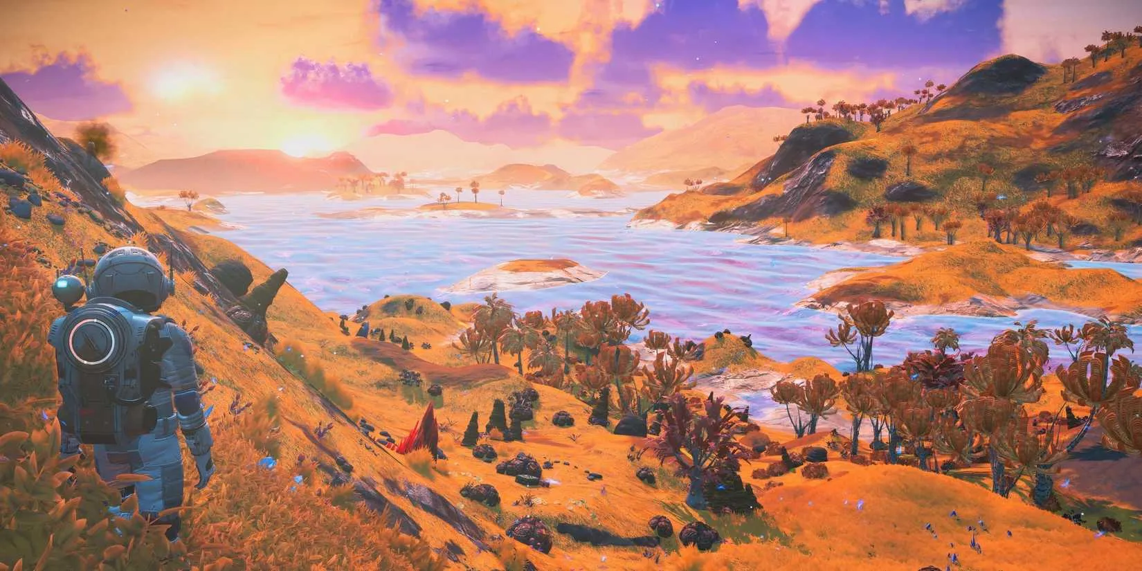 player overlooking a planet in No Man's Sky