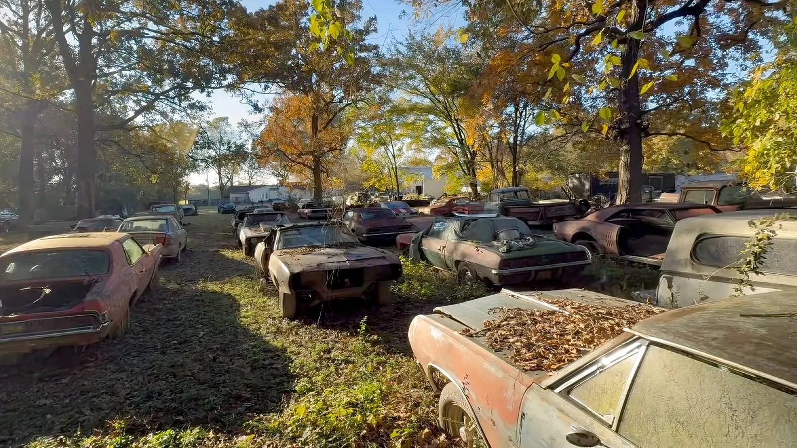 A wide shot of the Tennessee muscle car yard