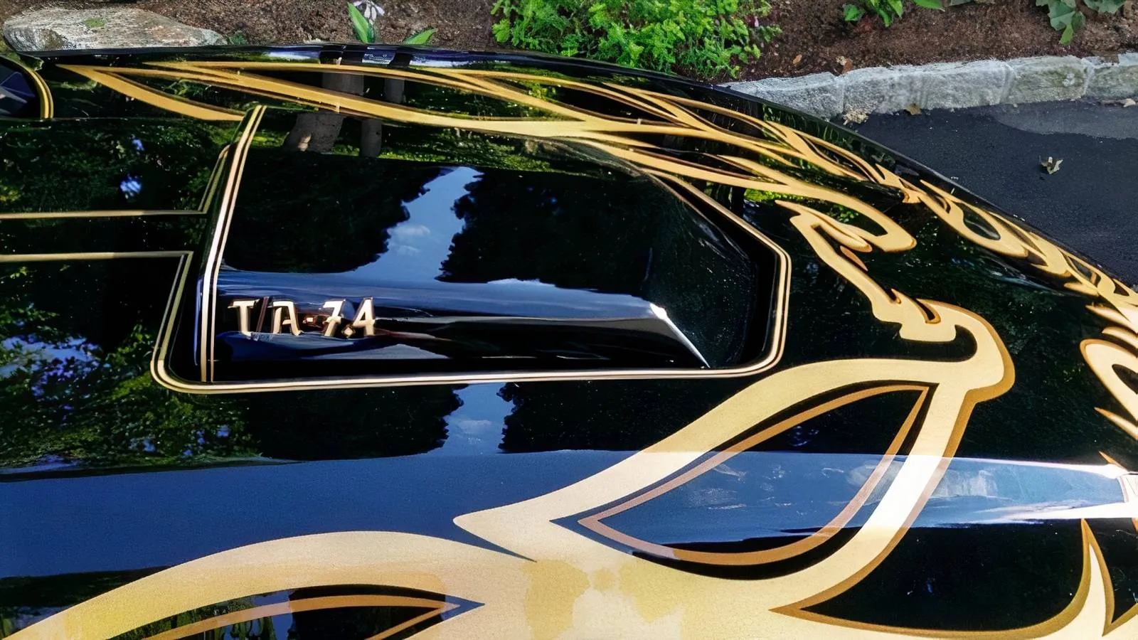 Bandit Edition Trans Am Depot detail shot