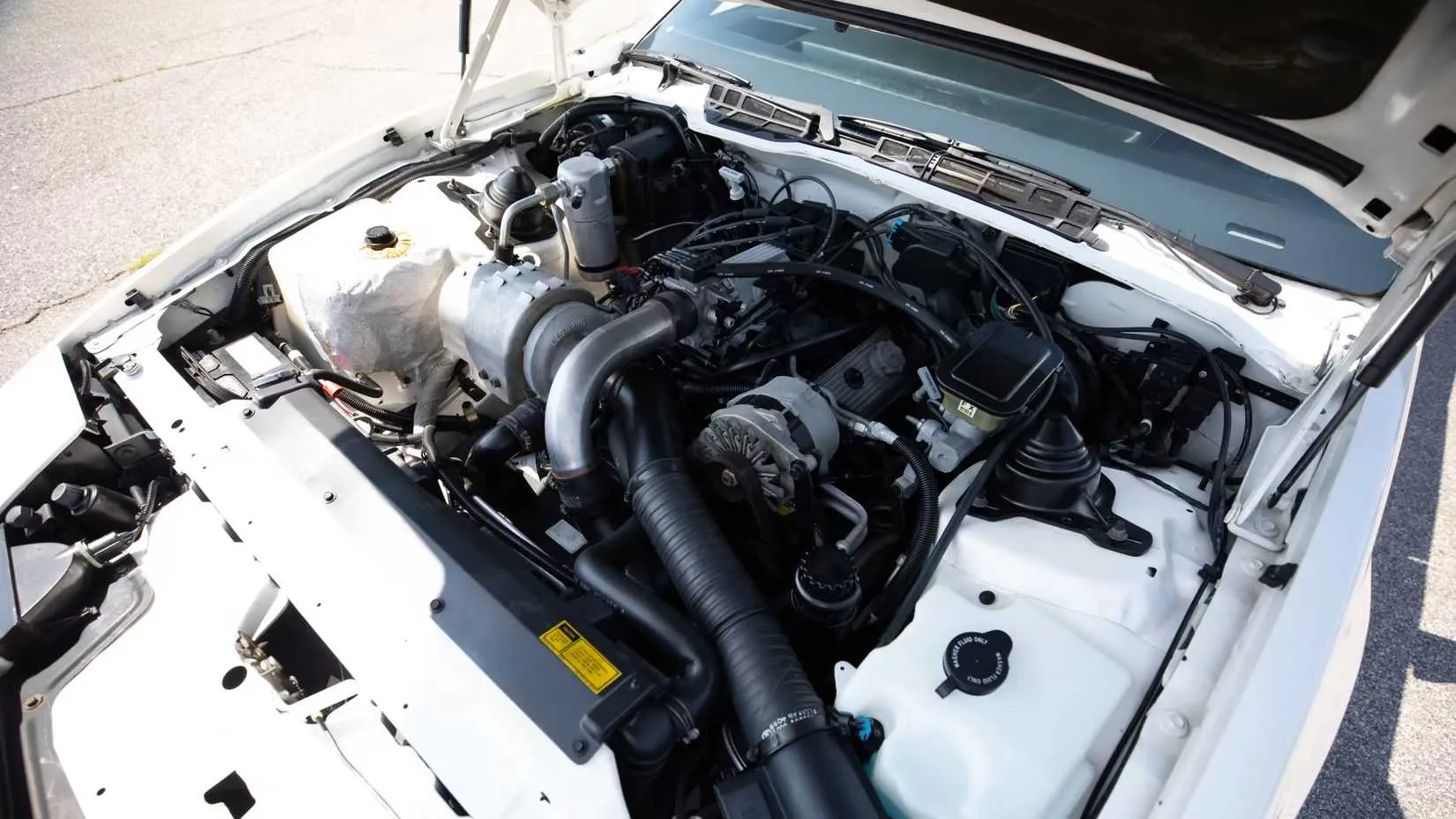 side shot of the black and white Engine Bay of the 1989 Pontiac Turbo Trans Am 20th Anniversary