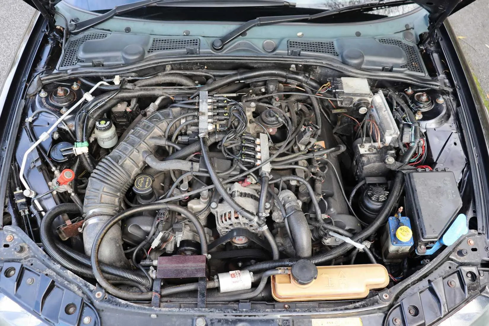A view of the 4.6-liter Ford V8 engine nestled in the MG&rsquo;s bay, a tight fit for a car never intended to have it