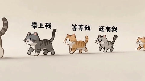组队猫咪