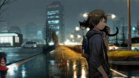 雨夜都市道路