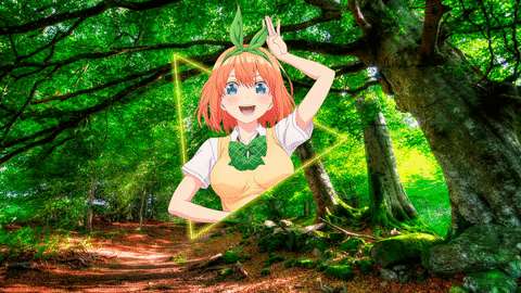 中野四叶·森林绿意