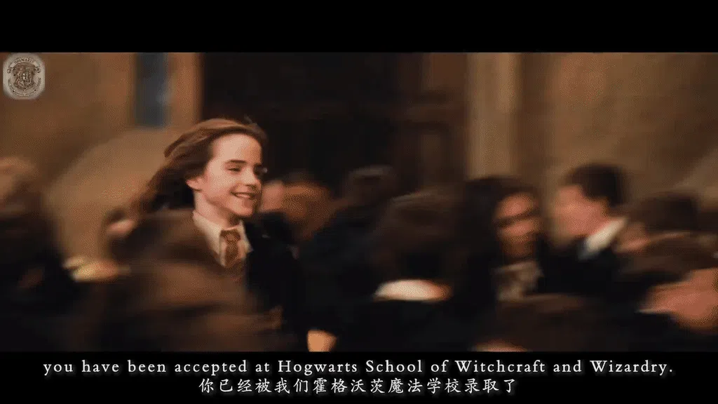 Harry Potter remix,哈利波特混剪