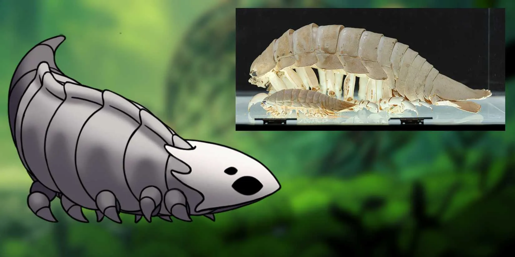 Bell Beast and isopod comparison