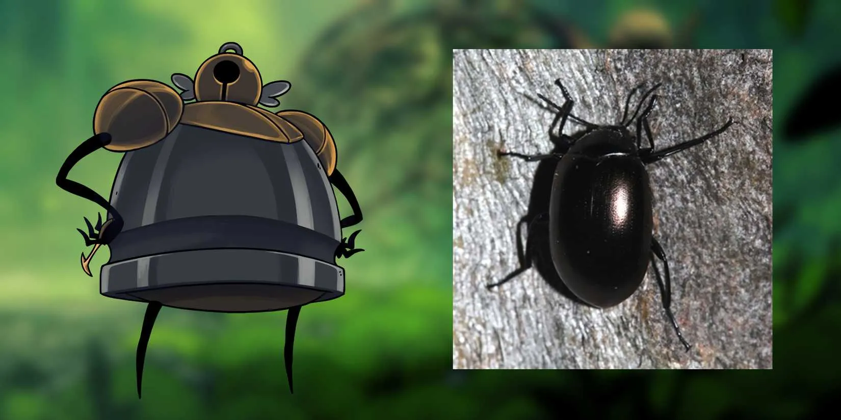 Forge Daughter and darkling beetle comparison