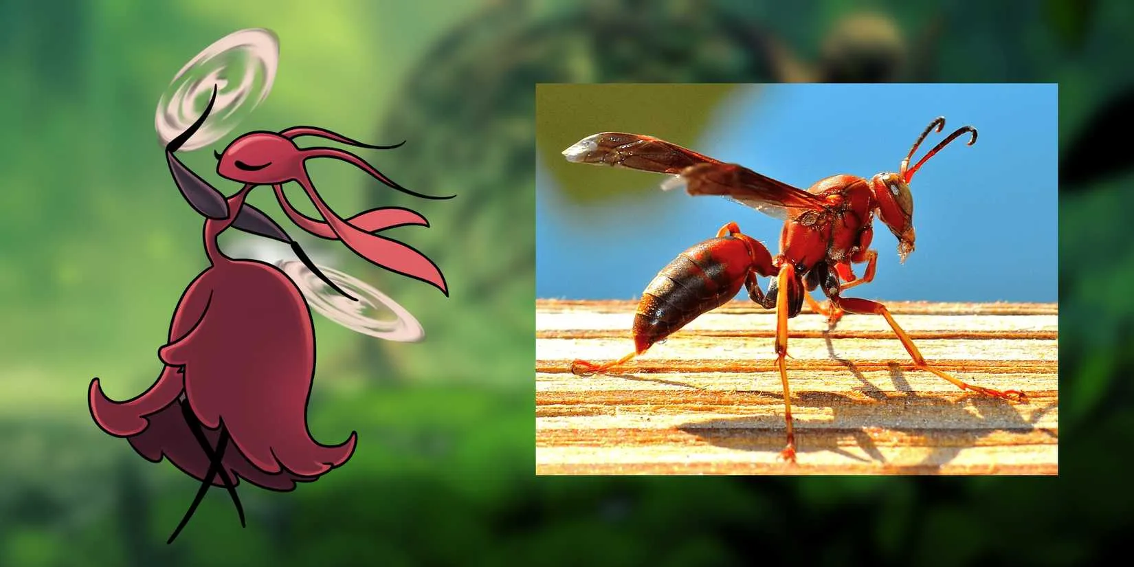 Carmelita and hunting wasp comparison