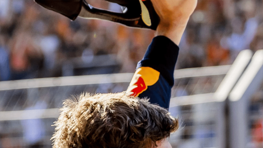 F1 Red Bull - Max Verstappen *肖像*