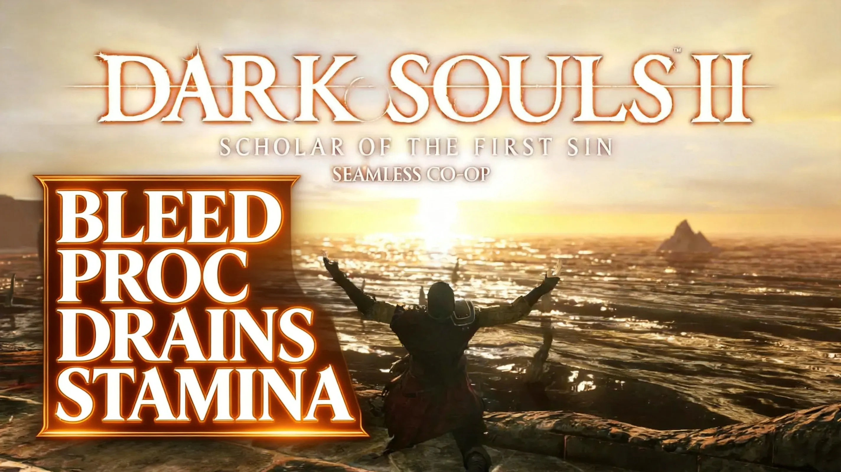 Dark Souls II bleed proc draining stamina bar