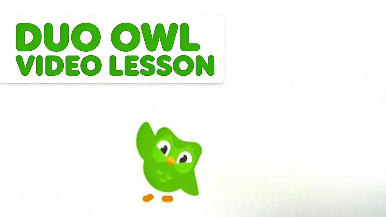 Duo owl and Lily in video call lesson