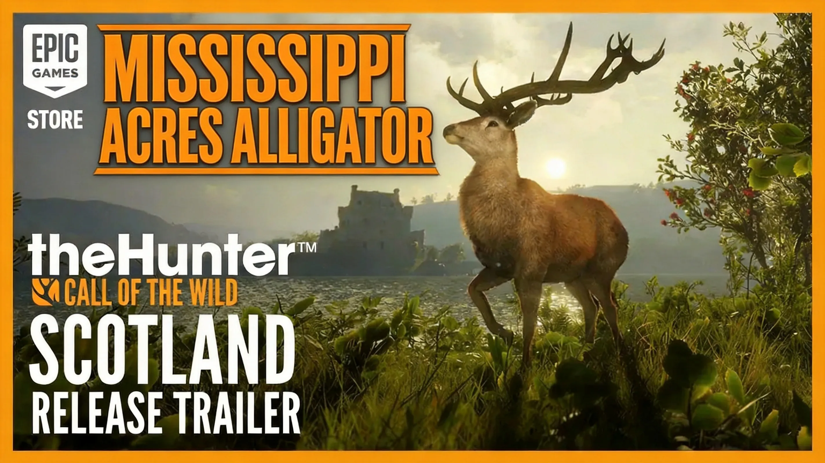 COTW Mississippi Acres swamp alligator